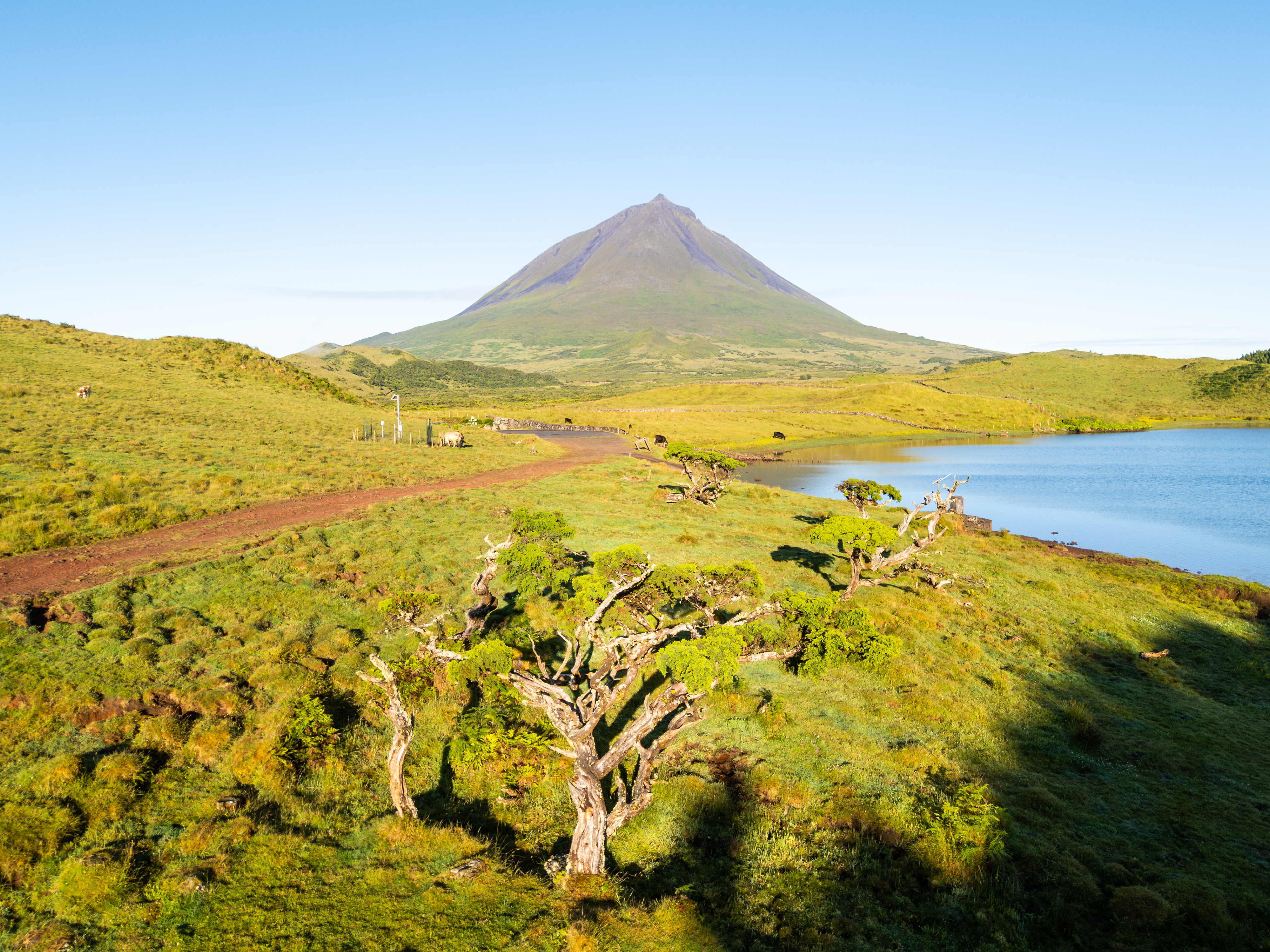 Monte Pico acima das nuvens